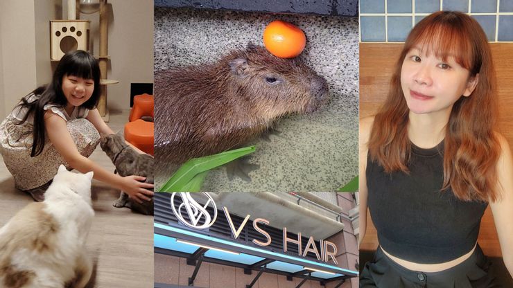 台中西屯燙髮推薦｜短髮留長「尷尬期」怎麼辦？【VS hair】日系雲朵燙與韓式髮根燙，有貓咪與水豚君陪你美美度過